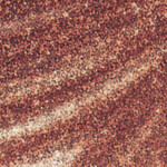 CACAO
